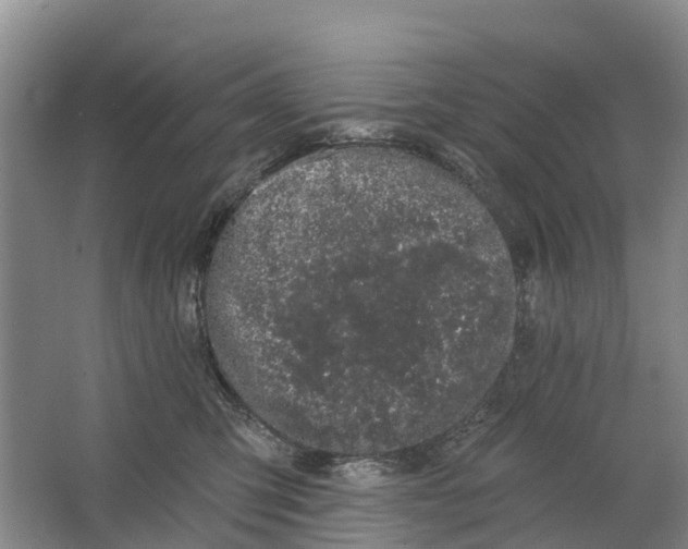 X0000064720423200602241647