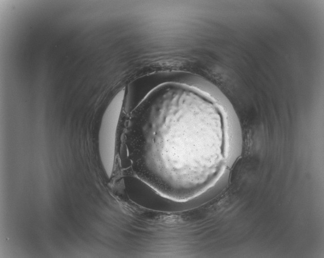 X0000064720424200602241647