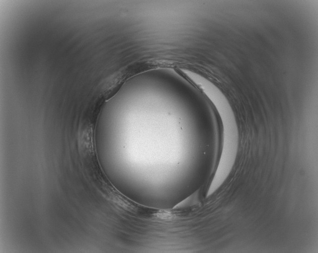 X0000064720425200602241647