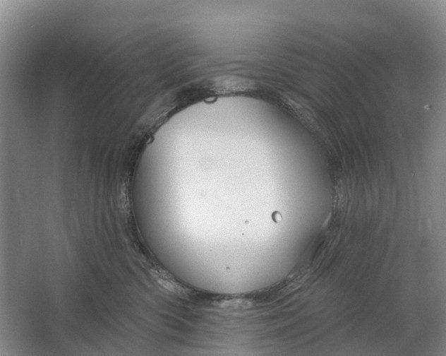 X0000064720426200602241647