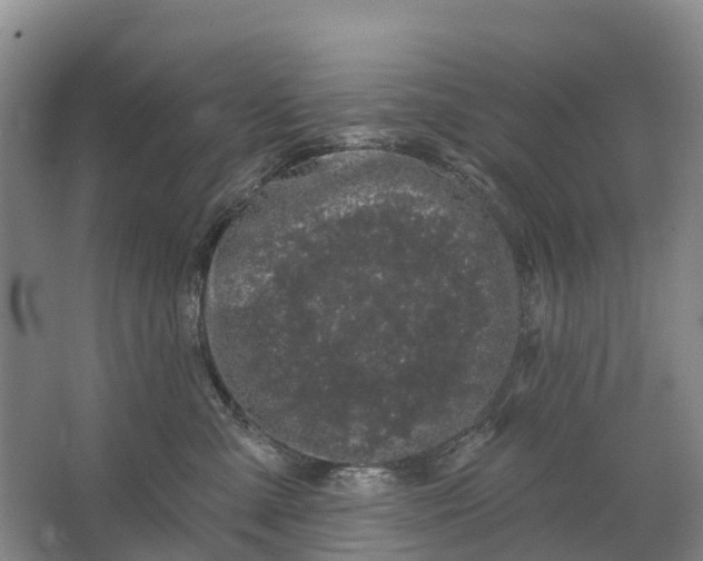 X0000064720427200602241647