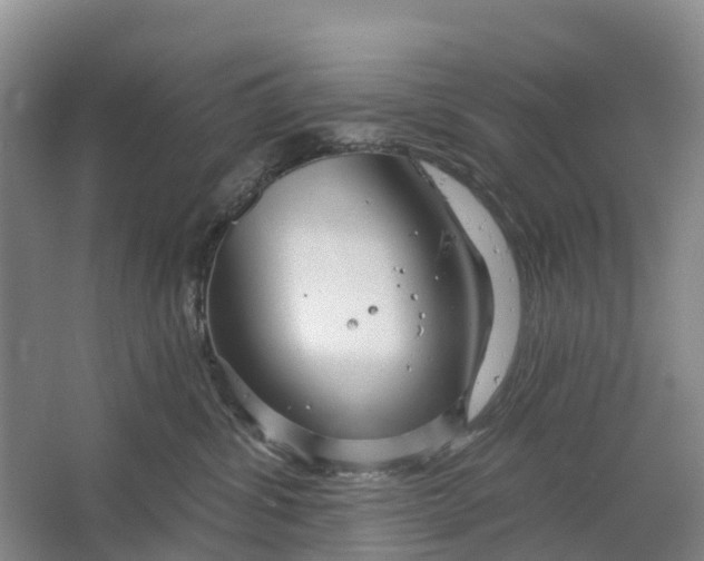 X0000064720428200602241647