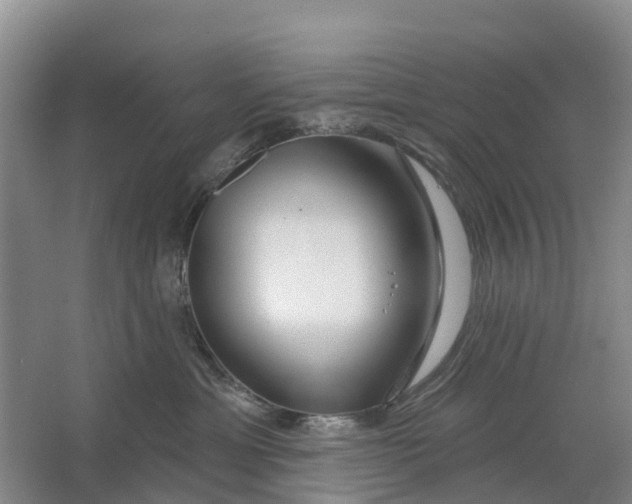 X0000064720429200602241647