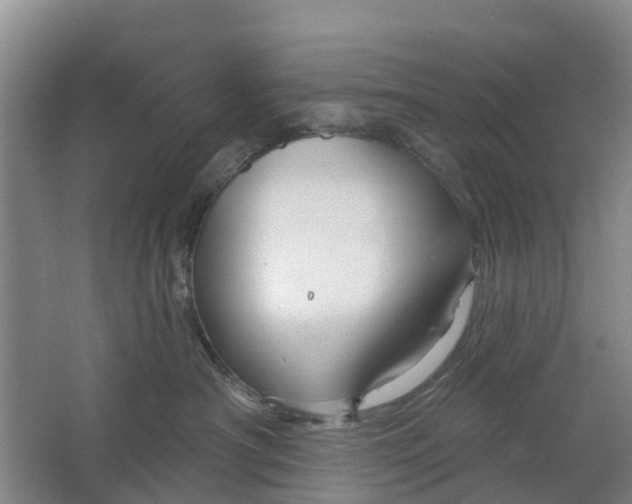 X0000064720430200602241647