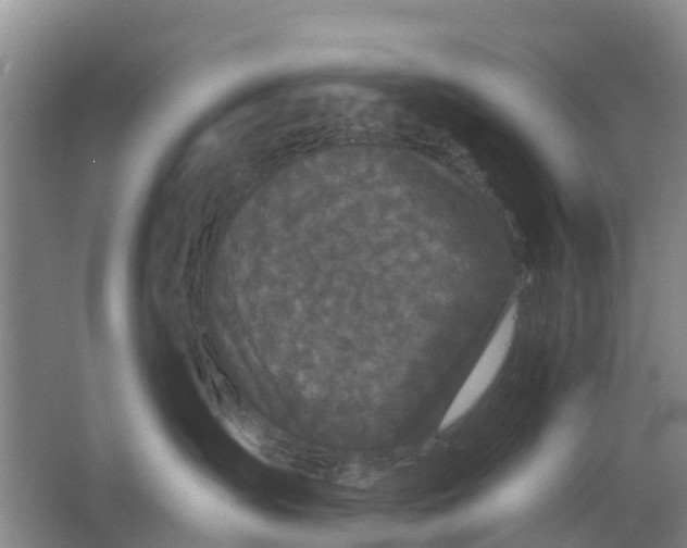 X0000064720431200602241646