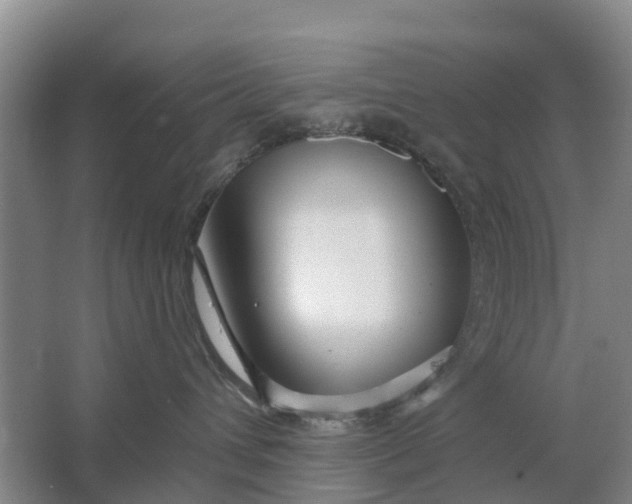 X0000064720432200602241646