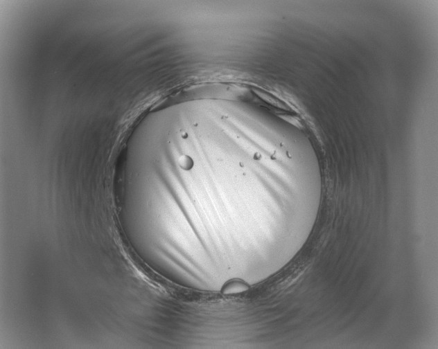 X0000064720433200602241645