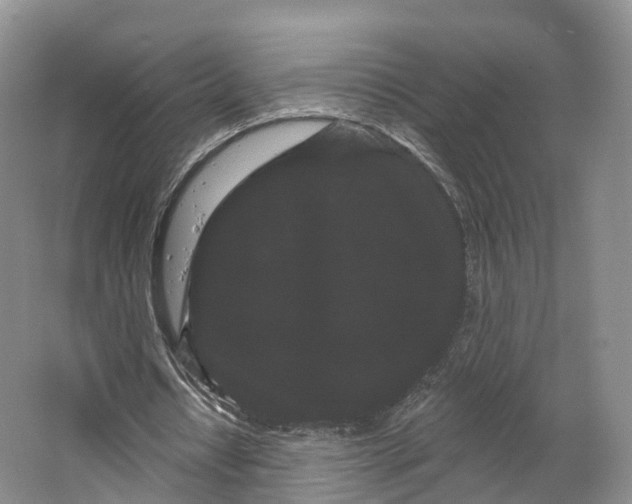 X0000064720434200602241645