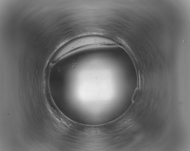 X0000064720435200602241645