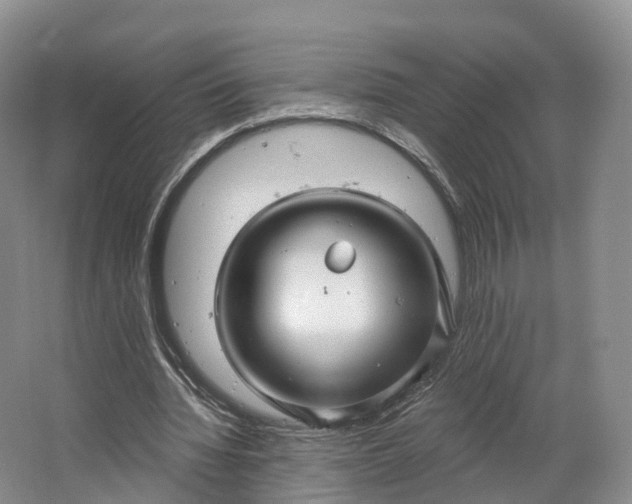 X0000064720436200602241645