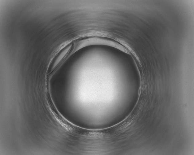 X0000064720437200602241645