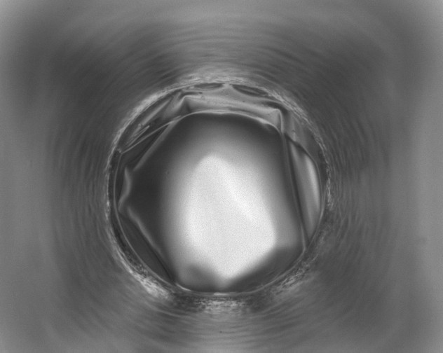 X0000064720438200602241645