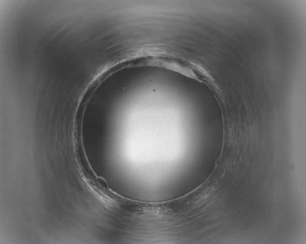 X0000064720439200602241645