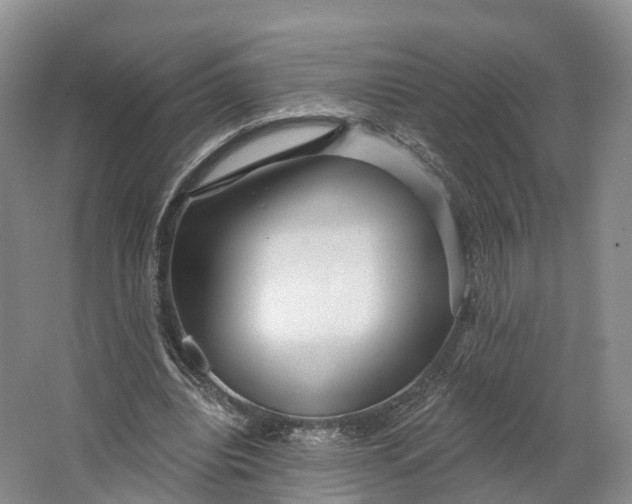 X0000064720440200602241645