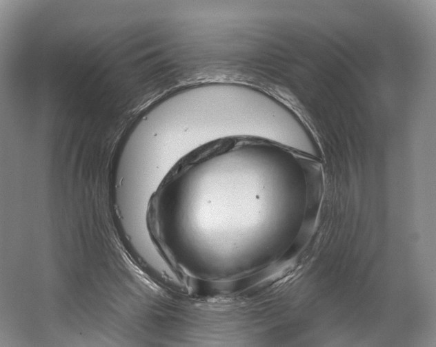 X0000064720441200602241645