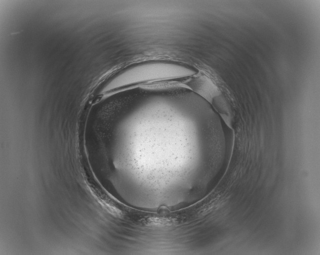 X0000064720442200602241645