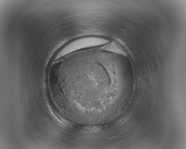 X0000064720443200602241645