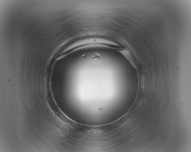 X0000064720444200602241646