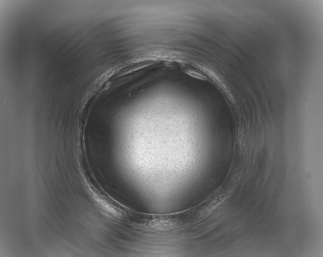 X0000064720445200602241646