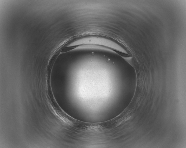 X0000064720446200602241646