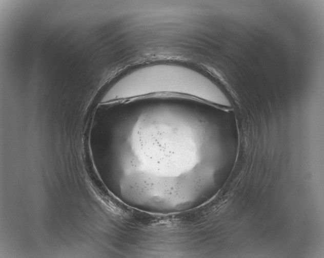 X0000064720447200602241646