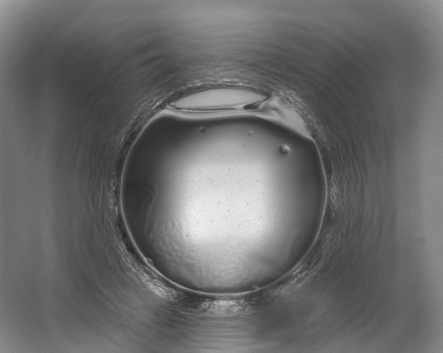 X0000064720449200602241646