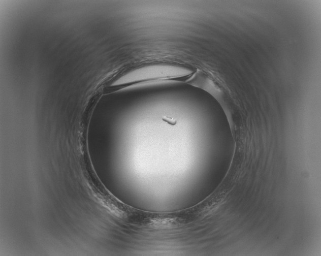 X0000064720450200602241646