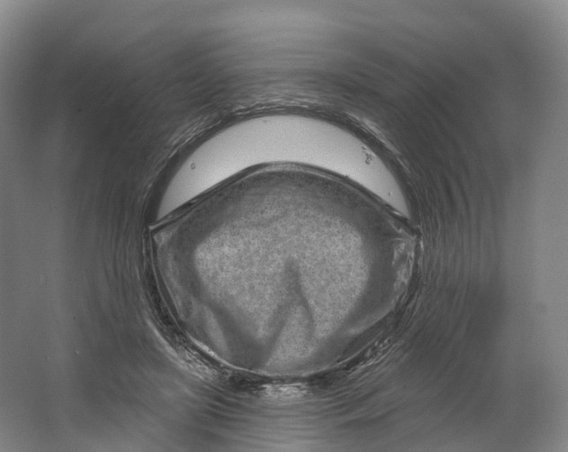 X0000064720451200602241646