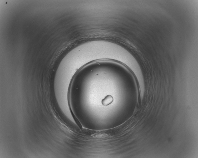 X0000064720452200602241646