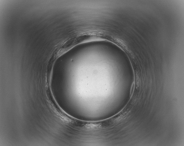 X0000064720453200602241646