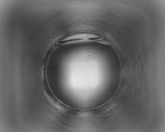 X0000064720454200602241646