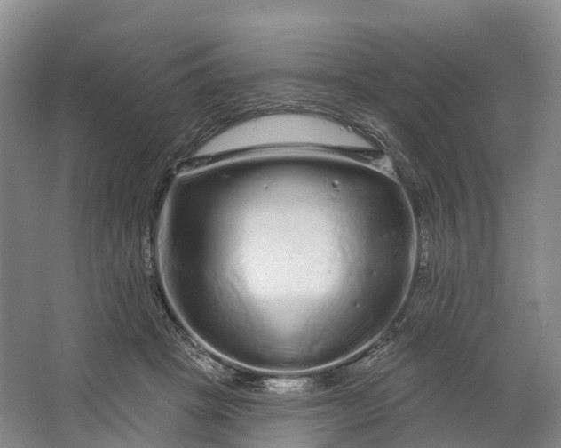 X0000064720457200602241646