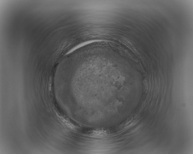 X0000064720458200602241646