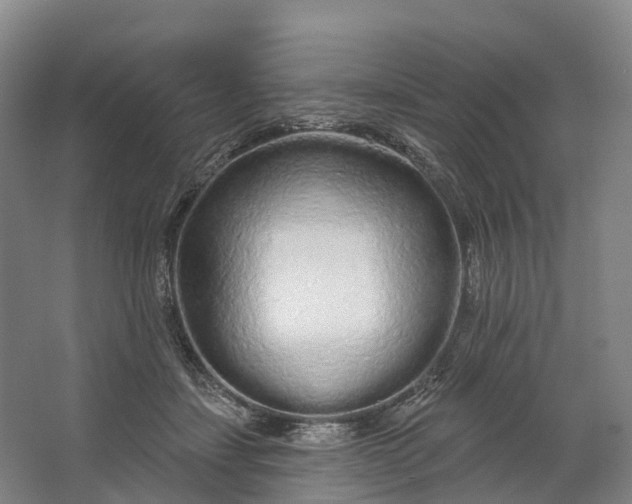 X0000064720459200602241646