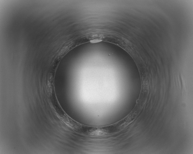 X0000064720460200602241646