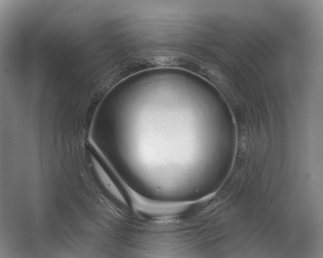 X0000064720461200602241646