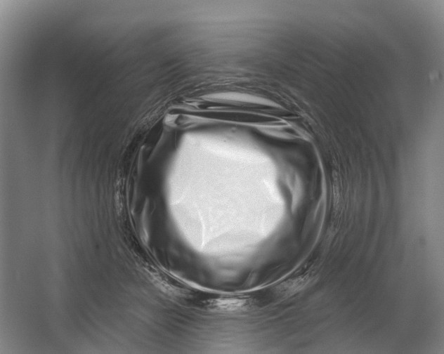 X0000064720462200602241646