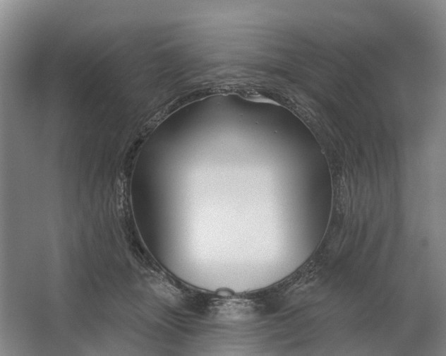 X0000064720463200602241646