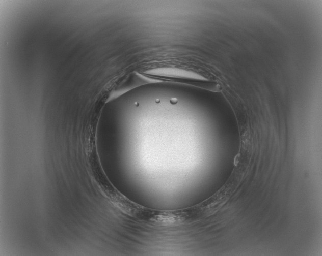 X0000064720464200602241646