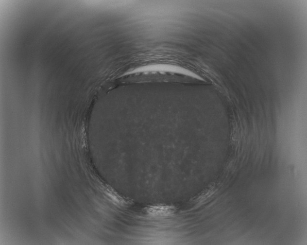 X0000064720465200602241646