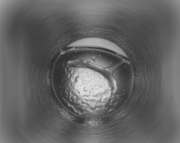 X0000064720466200602241646