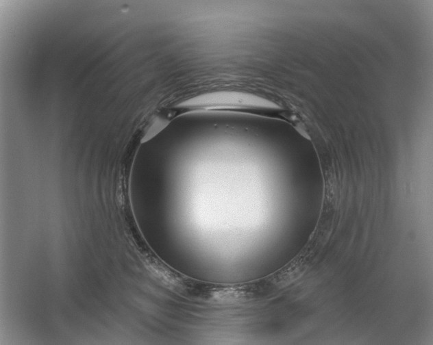 X0000064720470200602241646