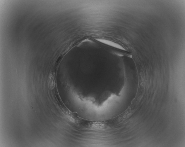 X0000064720471200602241646