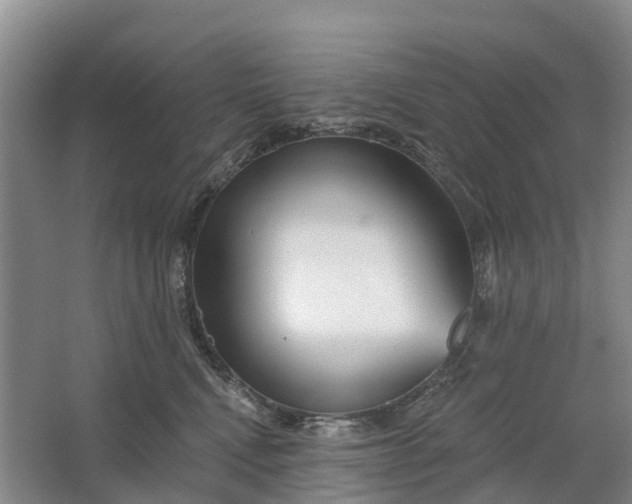 X0000064720472200602241646