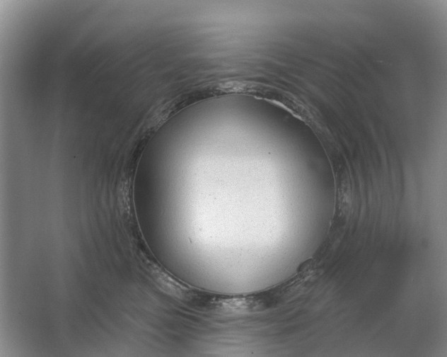 X0000064720473200602241646