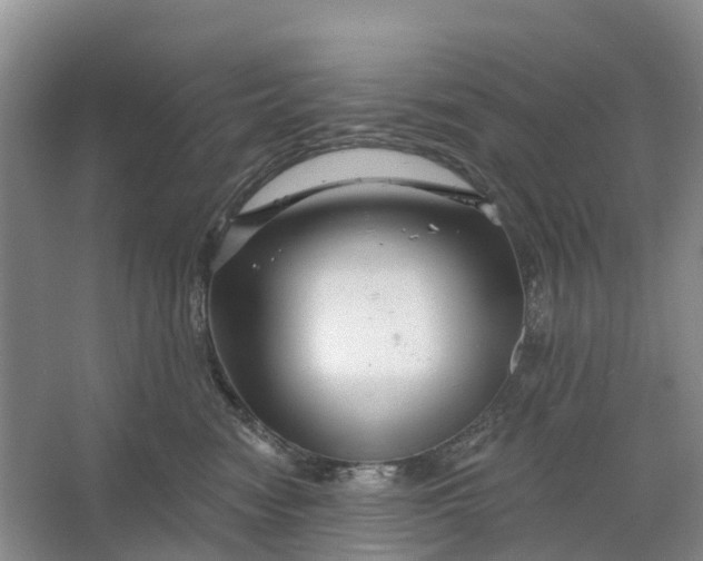 X0000064720474200602241646