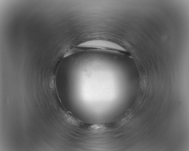 X0000064720477200602241646