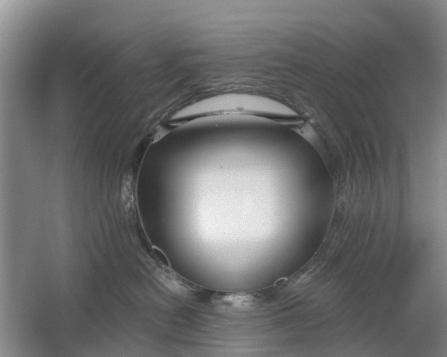 X0000064720478200602241646