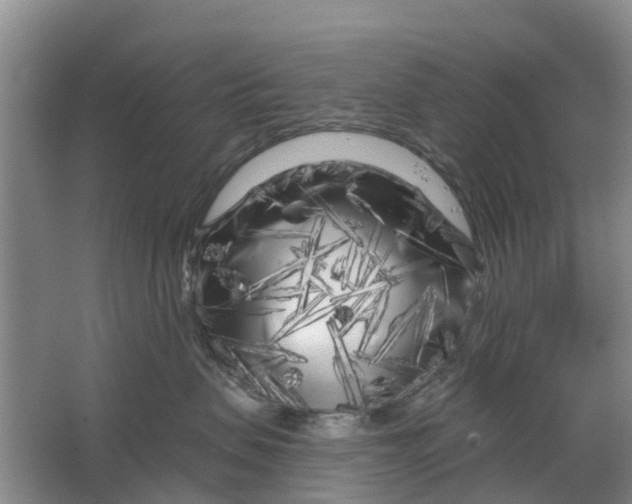 X0000064720479200602241646