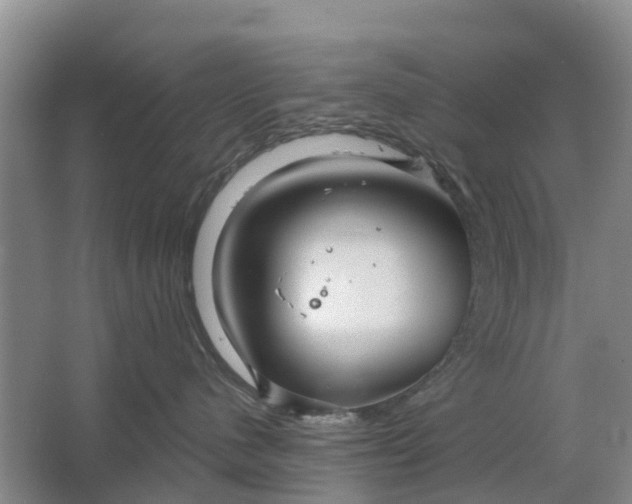 X0000064720480200602241646